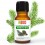 Abete Olio essenziale Bio 10ml - 100% Puro