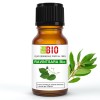 Ravintsara Olio essenziale Bio 30ml - 100% Puro