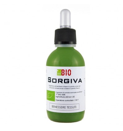 Sorgiva