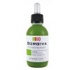 Sorgiva