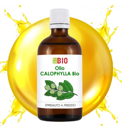 Olio Calophylla