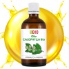 Olio Calophylla